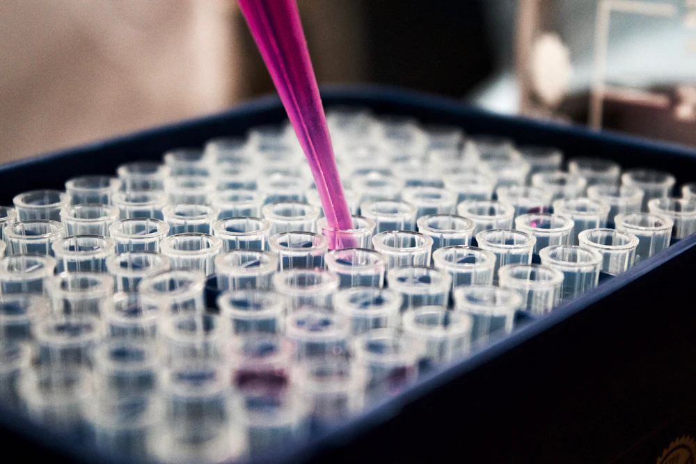 Pipetting a coloured solution into sample tubes